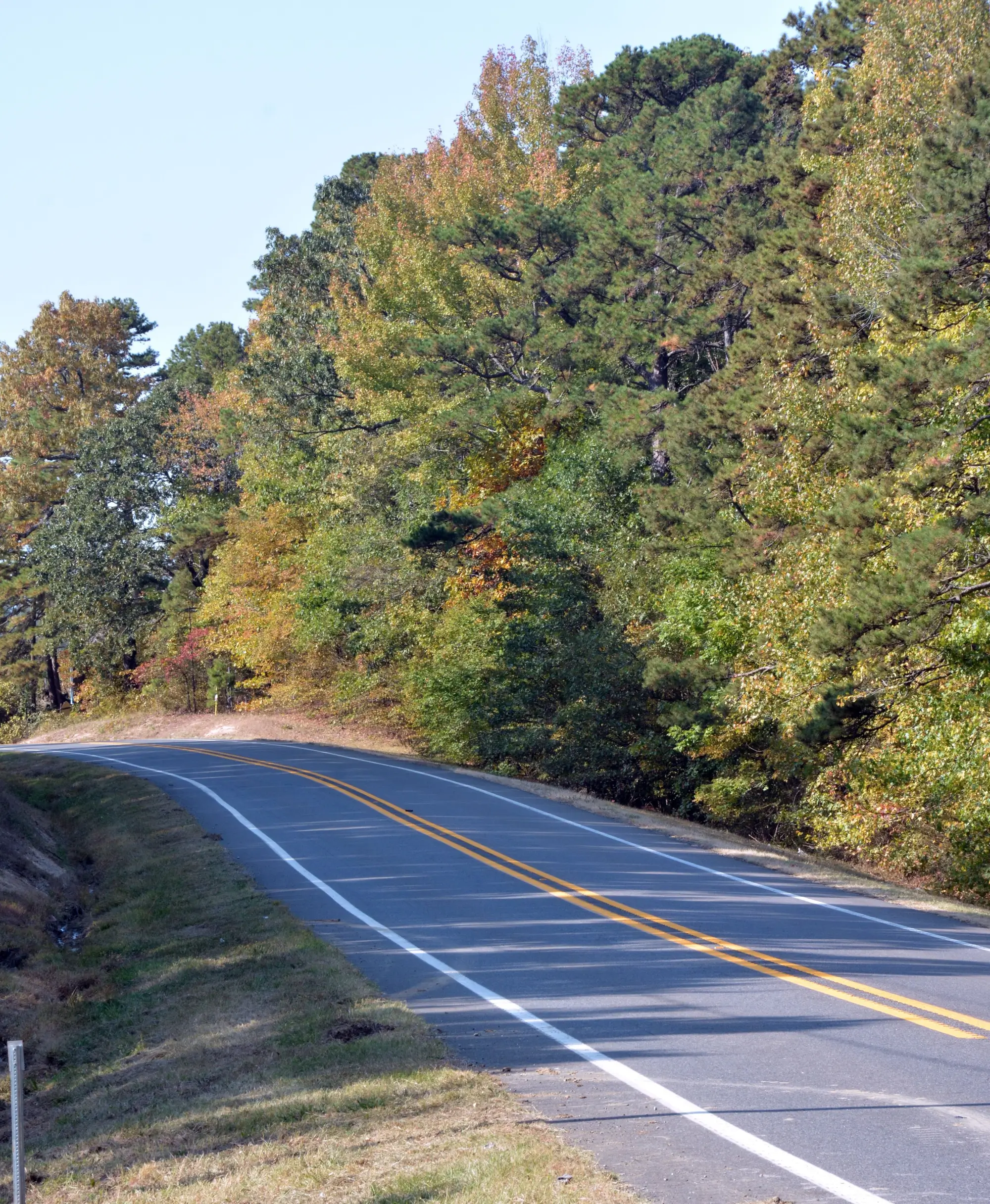 country road winding through fall foliage in Mount Ida, Arkansas